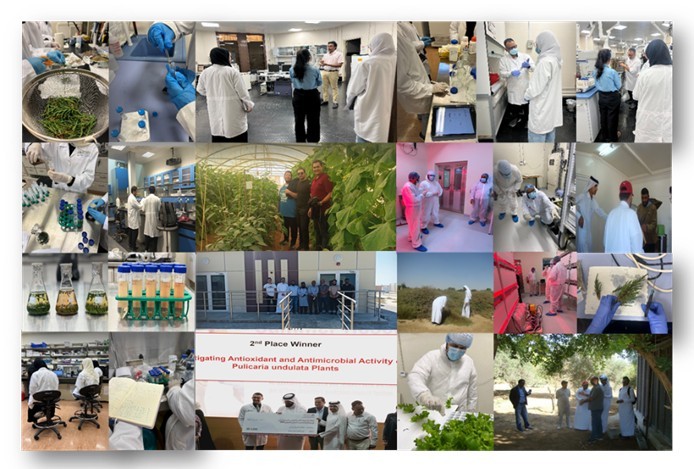 ARS Project photo
